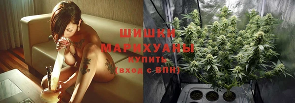 дмт Нестеровская