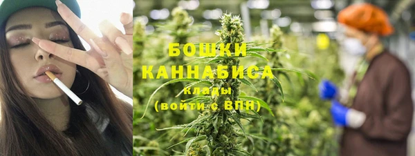 эйфоретик Калининец