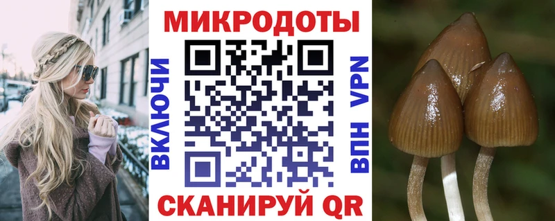 Галлюциногенные грибы Psilocybine cubensis  купить наркотик  Екатеринбург 