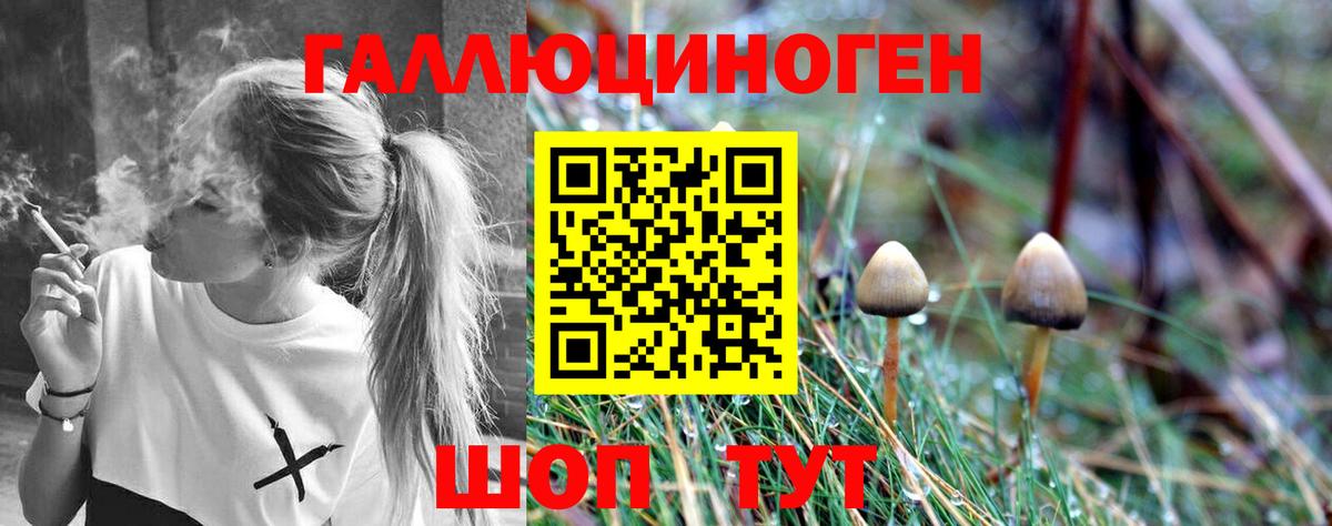 Псилоцибиновые грибы мухоморы  Вход с VPN  Псилоцибиновые грибы Psilocybine cubensis  Екатеринбург 